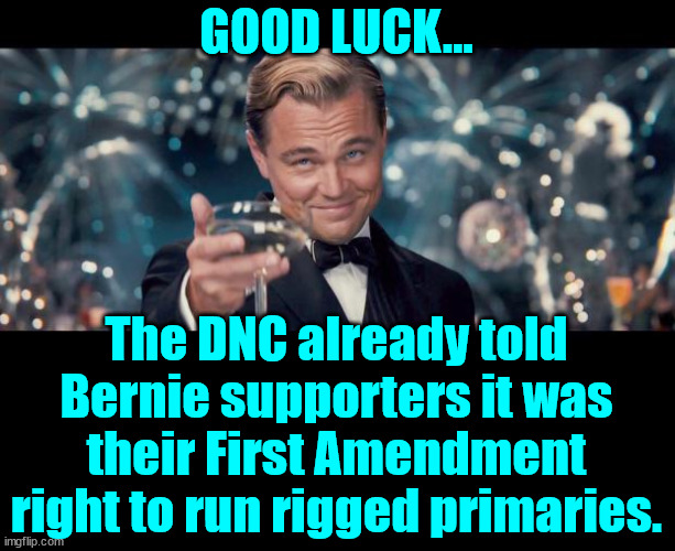 Good Luck! | GOOD LUCK... The DNC already told Bernie supporters it was their First Amendment right to run rigged primaries. | image tagged in good luck | made w/ Imgflip meme maker