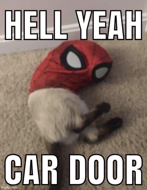 Car door | made w/ Imgflip meme maker