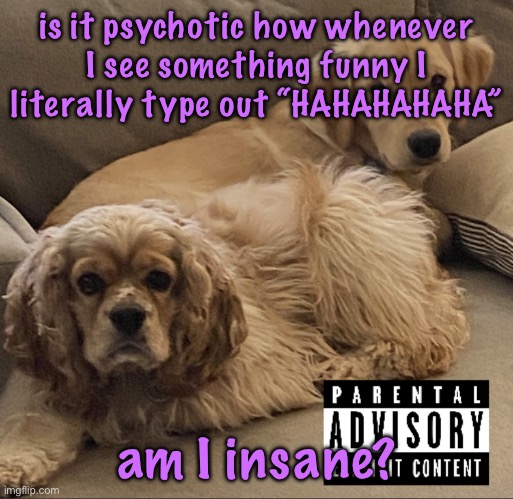 Gnocchi and Henry’s first studio album | is it psychotic how whenever I see something funny I literally type out “HAHAHAHAHA”; am I insane? | image tagged in gnocchi and henry s first studio album,cinnabox announcement | made w/ Imgflip meme maker