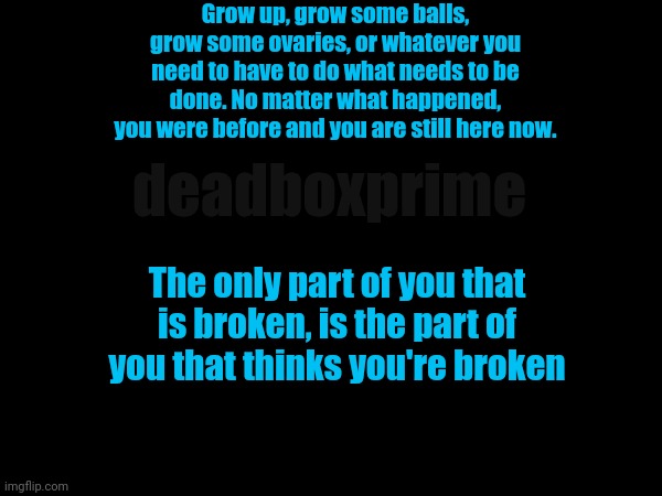 Still standing | Grow up, grow some balls, grow some ovaries, or whatever you need to have to do what needs to be done. No matter what happened, you were before and you are still here now. deadboxprime; The only part of you that is broken, is the part of you that thinks you're broken | image tagged in not broken | made w/ Imgflip meme maker