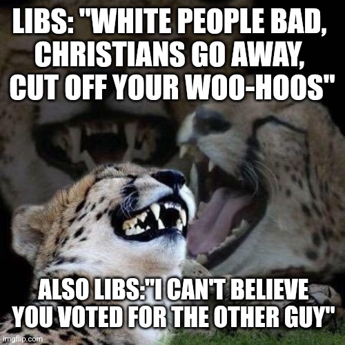 Laughing | LIBS: "WHITE PEOPLE BAD, 
CHRISTIANS GO AWAY, 
CUT OFF YOUR WOO-HOOS"; ALSO LIBS:"I CAN'T BELIEVE YOU VOTED FOR THE OTHER GUY" | image tagged in laughing,funny memes | made w/ Imgflip meme maker