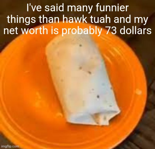 JimmyHere Burrito | I've said many funnier things than hawk tuah and my net worth is probably 73 dollars | image tagged in jimmyhere burrito | made w/ Imgflip meme maker