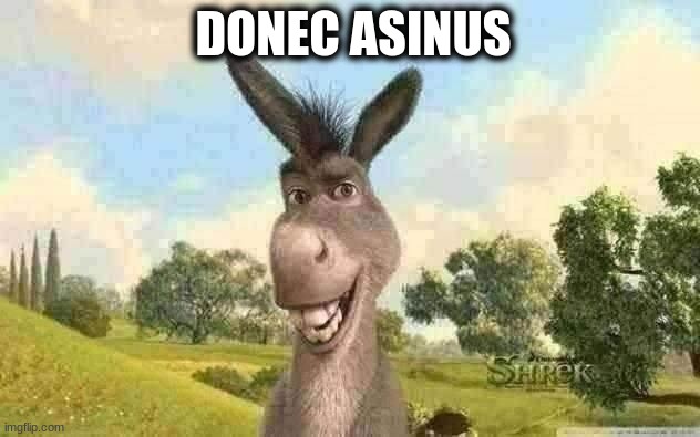 DONEC ASINUS | made w/ Imgflip meme maker
