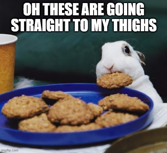 Bunny Cookie | OH THESE ARE GOING STRAIGHT TO MY THIGHS | image tagged in bunnies | made w/ Imgflip meme maker