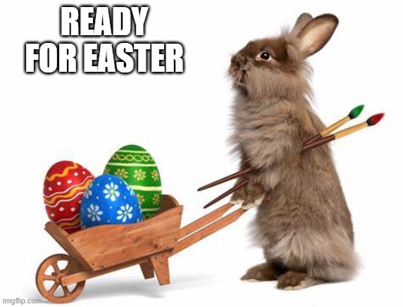 Easter Bunny | READY FOR EASTER | image tagged in bunnies | made w/ Imgflip meme maker