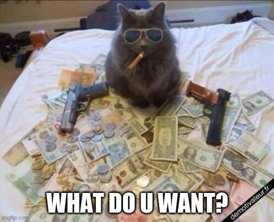 Gangster cats | WHAT DO U WANT? | image tagged in grumpy cat,gangsters,cool crimes,funny memes | made w/ Imgflip meme maker