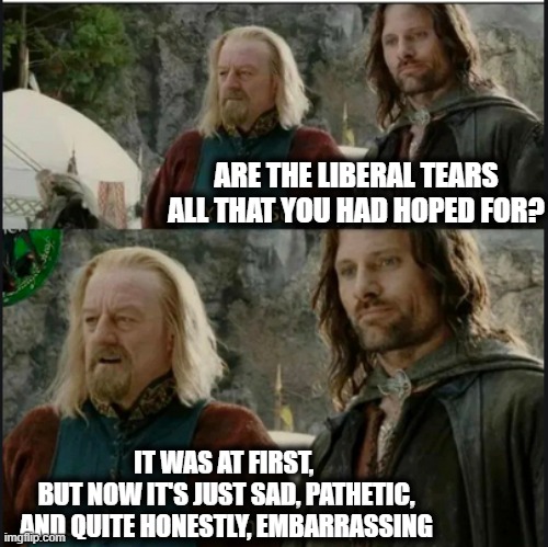 Epic Melts | ARE THE LIBERAL TEARS ALL THAT YOU HAD HOPED FOR? IT WAS AT FIRST, 
BUT NOW IT'S JUST SAD, PATHETIC, AND QUITE HONESTLY, EMBARRASSING | image tagged in less than half of what i'd hoped for | made w/ Imgflip meme maker