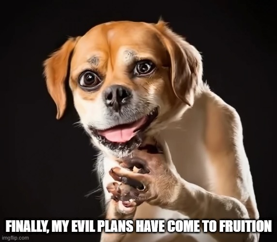 Schemer | FINALLY, MY EVIL PLANS HAVE COME TO FRUITION | image tagged in dogs | made w/ Imgflip meme maker