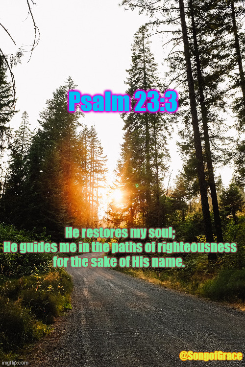 Psalm 23:3 | Psalm 23:3; He restores my soul;
He guides me in the paths of righteousness
for the sake of His name. @SongofGrace | image tagged in biblical encouragement | made w/ Imgflip meme maker