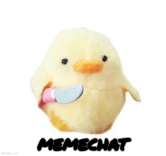 Duck with knife | MEMECHAT | image tagged in duck with knife | made w/ Imgflip meme maker