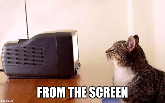 get out of my head | FROM THE SCREEN | image tagged in cat watching tv | made w/ Imgflip meme maker