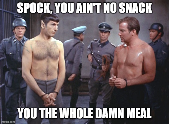 Snack and Meal | SPOCK, YOU AIN'T NO SNACK; YOU THE WHOLE DAMN MEAL | image tagged in star trek | made w/ Imgflip meme maker