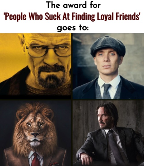 The award for; 'People Who Suck At Finding Loyal Friends'; goes to: | image tagged in funny,sigma male | made w/ Imgflip meme maker