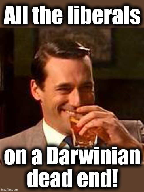 Jon Hamm mad men | All the liberals on a Darwinian
dead end! | image tagged in jon hamm mad men | made w/ Imgflip meme maker