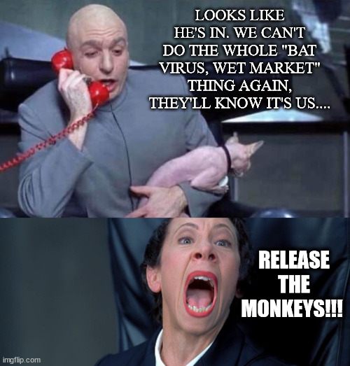 Brace for it, you know it's coming! | LOOKS LIKE HE'S IN. WE CAN'T DO THE WHOLE "BAT VIRUS, WET MARKET" THING AGAIN, THEY'LL KNOW IT'S US.... RELEASE THE MONKEYS!!! | image tagged in dr evil and frau | made w/ Imgflip meme maker