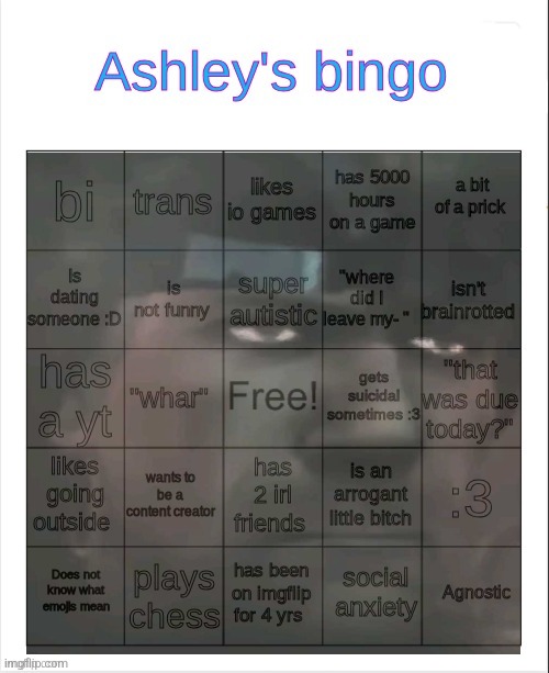 Ashley's bingo | image tagged in ashley's bingo | made w/ Imgflip meme maker