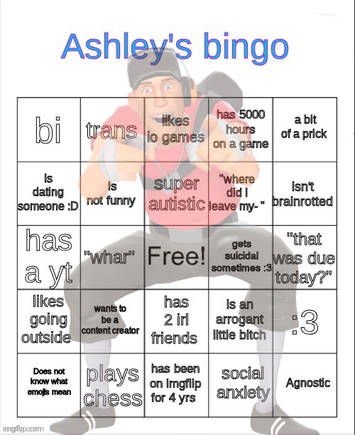 Ashley's bingo | image tagged in ashley's bingo | made w/ Imgflip meme maker