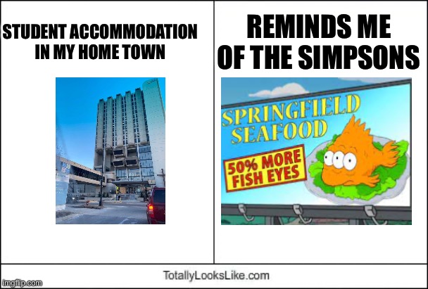 Welcome to Springfield | REMINDS ME OF THE SIMPSONS; STUDENT ACCOMMODATION IN MY HOME TOWN | image tagged in totally looks like,springfield,university | made w/ Imgflip meme maker