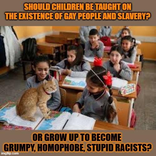 This #lolcat wonders why some don't want children to be educated | SHOULD CHILDREN BE TAUGHT ON THE EXISTENCE OF GAY PEOPLE AND SLAVERY? OR GROW UP TO BECOME 
GRUMPY, HOMOPHOBE, STUPID RACISTS? | image tagged in education,homophobic,lolcat,slavery,school | made w/ Imgflip meme maker