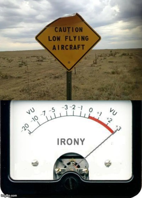 Irony Meter | image tagged in irony meter | made w/ Imgflip meme maker