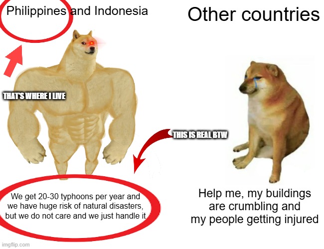 For all the Filipino homies (o7) [Another one BTW] | Philippines and Indonesia; Other countries; THAT'S WHERE I LIVE; THIS IS REAL BTW; We get 20-30 typhoons per year and we have huge risk of natural disasters, but we do not care and we just handle it; Help me, my buildings are crumbling and my people getting injured | image tagged in memes,buff doge vs cheems | made w/ Imgflip meme maker