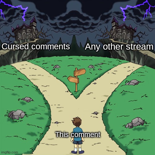 Two paths | Cursed comments Any other stream This comment | image tagged in two paths | made w/ Imgflip meme maker
