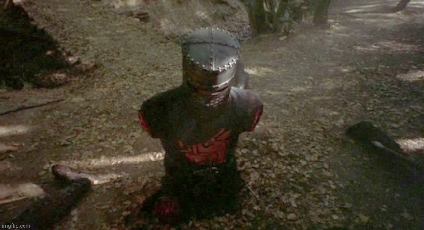 Monty Python's Holy Grail limbless knight | image tagged in monty python's holy grail limbless knight | made w/ Imgflip meme maker