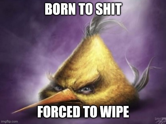 Born to shit forced ti wipe | BORN TO SHIT FORCED TO WIPE | image tagged in born to shit forced ti wipe | made w/ Imgflip meme maker