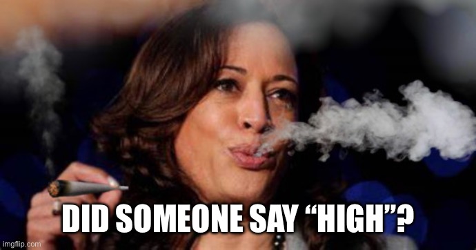 Kamala Harris stoned | DID SOMEONE SAY “HIGH”? | image tagged in kamala harris stoned | made w/ Imgflip meme maker