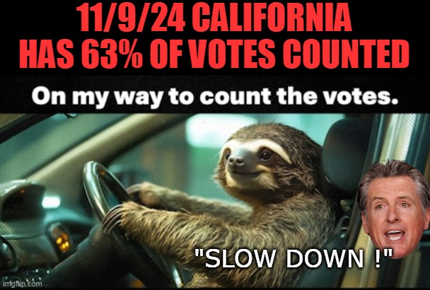 How, is this possible ??? | 11/9/24 CALIFORNIA HAS 63% OF VOTES COUNTED; "SLOW DOWN !" | image tagged in sloth california vote count meme | made w/ Imgflip meme maker