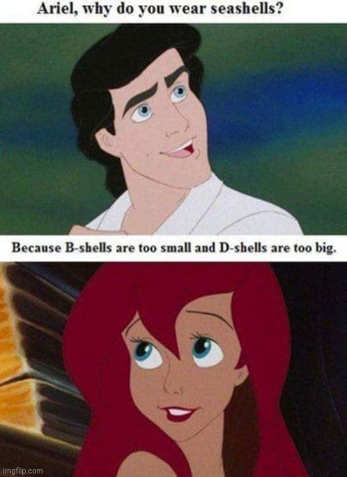 Seashells | image tagged in seashells,ariel,disney,mermaid,funny | made w/ Imgflip meme maker