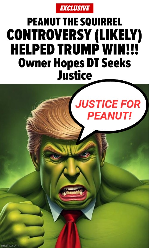 DEC conducting investigation into Joshua Crain - raid on Mark Longo's New York home, P'Nut - Peanut the Squirrel Update | JUSTICE FOR 
PEANUT! | image tagged in news,america,trending,peanut,donald trump | made w/ Imgflip meme maker