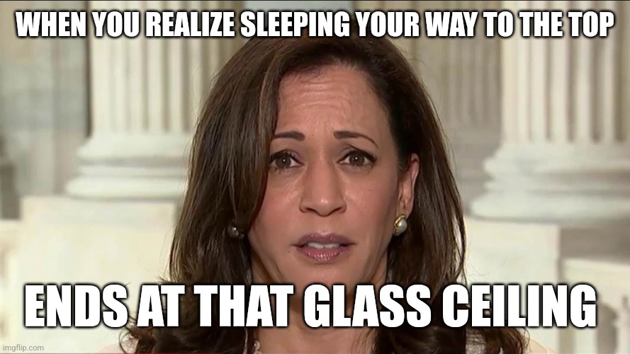 kamala harris | WHEN YOU REALIZE SLEEPING YOUR WAY TO THE TOP; ENDS AT THAT GLASS CEILING | image tagged in kamala harris | made w/ Imgflip meme maker