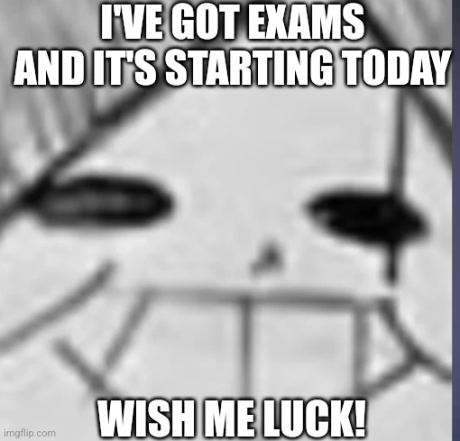 Wish me luck! | I'VE GOT EXAMS AND IT'S STARTING TODAY; WISH ME LUCK! | image tagged in epic sans happy | made w/ Imgflip meme maker