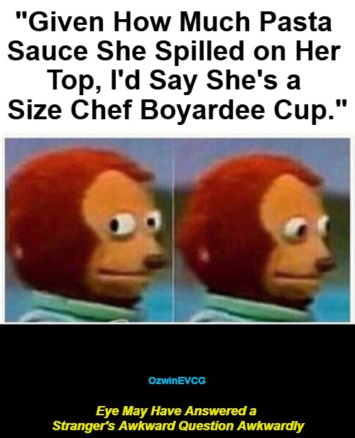 Eye May Have Answered a Stranger's Awkward Question Awkwardly | "Given How Much Pasta 

Sauce She Spilled on Her 

Top, I'd Say She's a 

Size Chef Boyardee Cup."; OzwinEVCG; Eye May Have Answered a 

Stranger's Awkward Question Awkwardly | image tagged in strange,strangers,questions,answers,that was weird,that too was weird | made w/ Imgflip meme maker