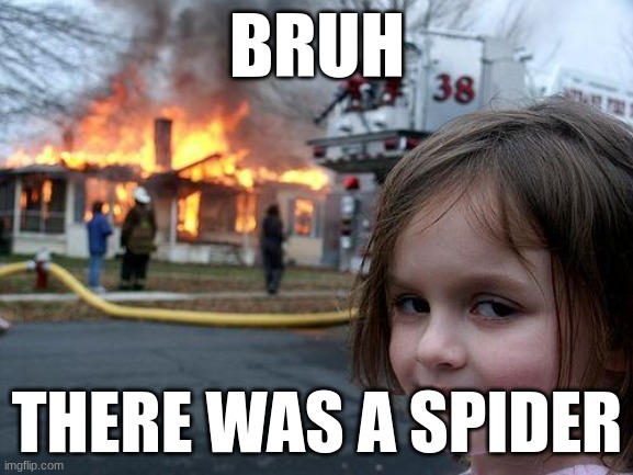 me fr | BRUH; THERE WAS A SPIDER | image tagged in memes,disaster girl | made w/ Imgflip meme maker