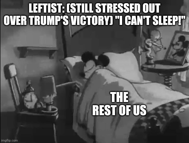 Sweet Dreams (new template) | LEFTIST: (STILL STRESSED OUT OVER TRUMP'S VICTORY) "I CAN'T SLEEP!"; THE REST OF US | image tagged in sleeping mickey mouse,memes,politics | made w/ Imgflip meme maker