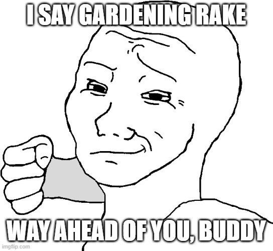 Wojak Punch (Punches You for [...]) | I SAY GARDENING RAKE WAY AHEAD OF YOU, BUDDY | image tagged in wojak punch punches you for | made w/ Imgflip meme maker