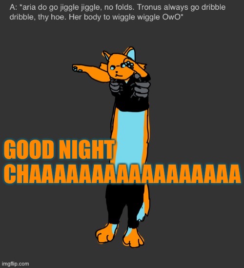 Aria The Longcat | GOOD NIGHT
CHAAAAAAAAAAAAAAAAA | image tagged in aria the longcat | made w/ Imgflip meme maker