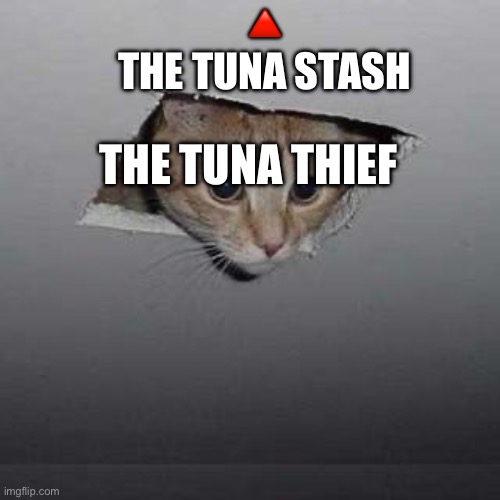 Dang tuna thief | 🔺
THE TUNA STASH; THE TUNA THIEF | image tagged in memes,ceiling cat,cats,tuna | made w/ Imgflip meme maker