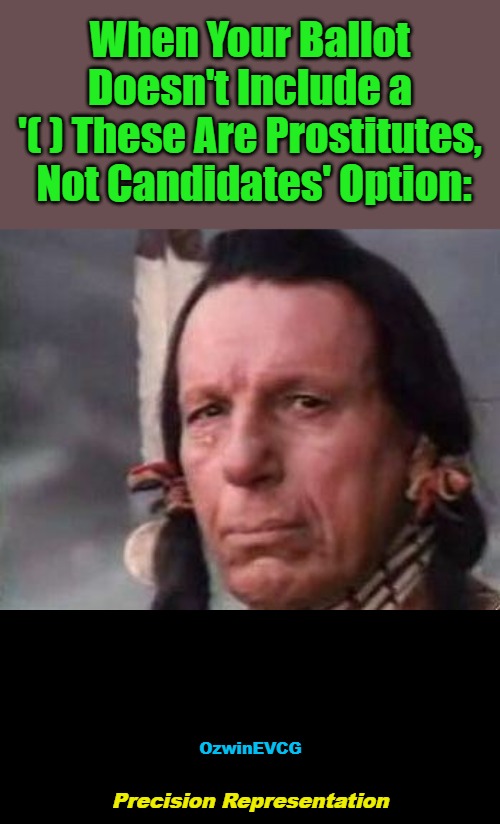 Precision Representation | When Your Ballot 

Doesn't Include a 

'( ) These Are Prostitutes, 

Not Candidates' Option:; OzwinEVCG; Precision Representation | image tagged in digital amerind face,john blake,rigged elections,democratic party,republican party,political humor | made w/ Imgflip meme maker