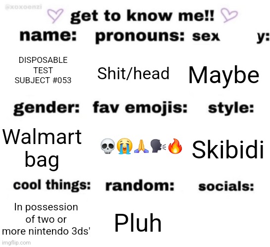 get to know me but better | DISPOSABLE TEST SUBJECT #053; Shit/head; Maybe; 💀😭🙏🗣🔥; Skibidi; Walmart bag; In possession of two or more nintendo 3ds'; Pluh | image tagged in get to know me but better | made w/ Imgflip meme maker