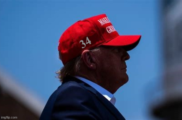 It the hat fits wear it | 34 | image tagged in it the hat fits wear it,34 felony counts,escaped criminal elected,al capone adolf hitler rolled int one,maga mistake | made w/ Imgflip meme maker