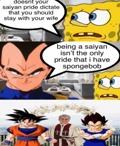 Pride | image tagged in vegeta | made w/ Imgflip meme maker