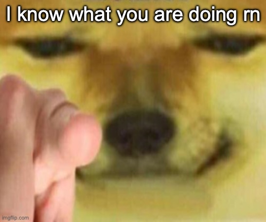 Cheems Pointing At You | I know what you are doing rn | image tagged in cheems pointing at you | made w/ Imgflip meme maker