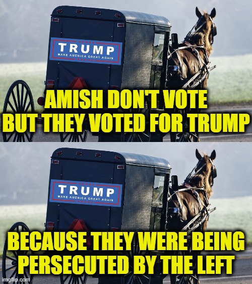 More Leftist Logic | AMISH DON'T VOTE
BUT THEY VOTED FOR TRUMP; BECAUSE THEY WERE BEING
PERSECUTED BY THE LEFT | image tagged in donald trump | made w/ Imgflip meme maker