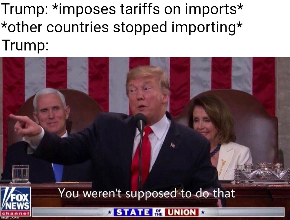 you were not supposed to do that | Trump: *imposes tariffs on imports*; *other countries stopped importing*; Trump: | image tagged in you were not supposed to do that | made w/ Imgflip meme maker