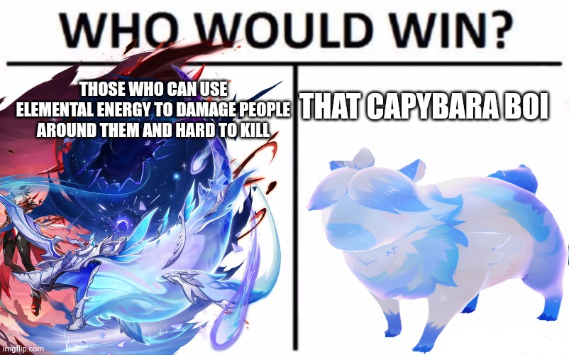 :skull: | THAT CAPYBARA BOI; THOSE WHO CAN USE ELEMENTAL ENERGY TO DAMAGE PEOPLE AROUND THEM AND HARD TO KILL | image tagged in memes,who would win,genshin | made w/ Imgflip meme maker