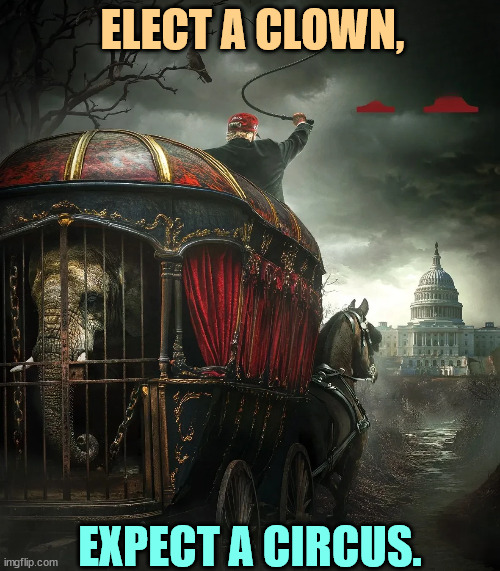 ELECT A CLOWN, EXPECT A CIRCUS. | image tagged in trump,clown,circus,incompetence | made w/ Imgflip meme maker