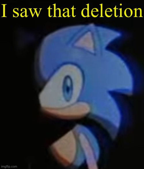 Sonic Side Eye | I saw that deletion | image tagged in sonic side eye | made w/ Imgflip meme maker